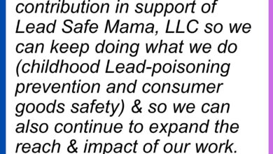 leadsafemama